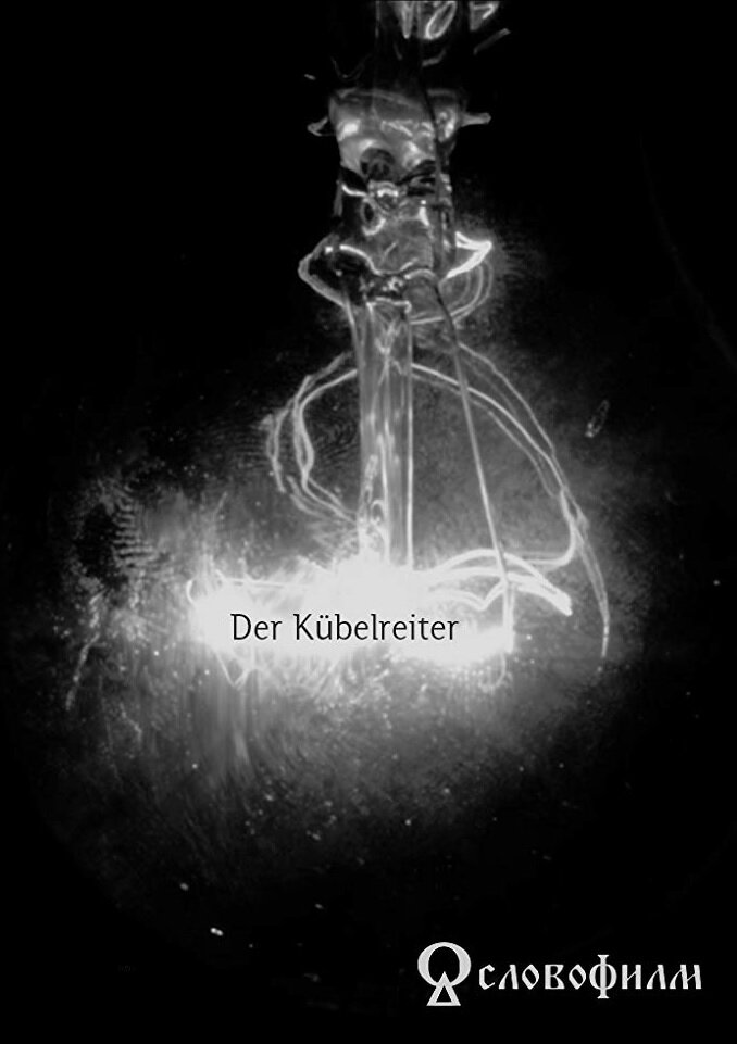 Der Kübelreiter (2016) постер