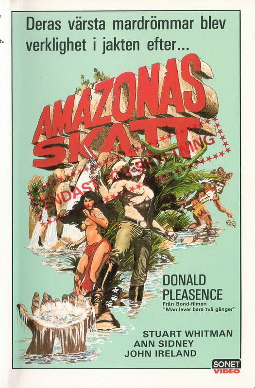 Сокровища Амазонки (1985) постер