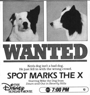 Собачий секрет (1986) постер