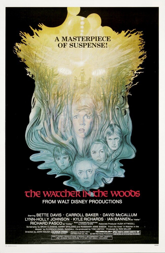 Лесной наблюдатель (1980) постер