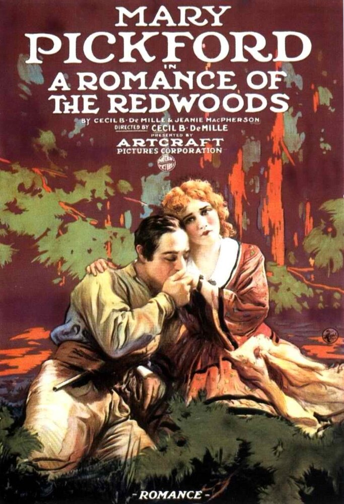 Роман в Редвудс (1917) постер