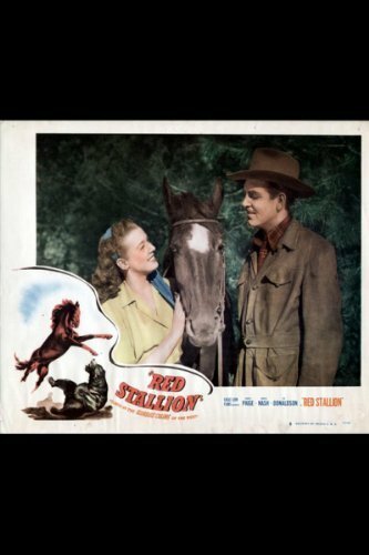 Red Stallion in the Rockies (1949) постер