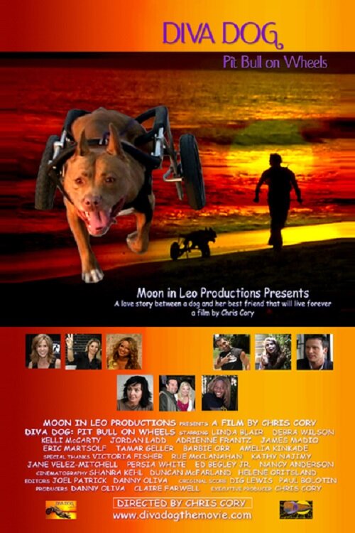 Diva Dog: Pit Bull on Wheels (2005) постер