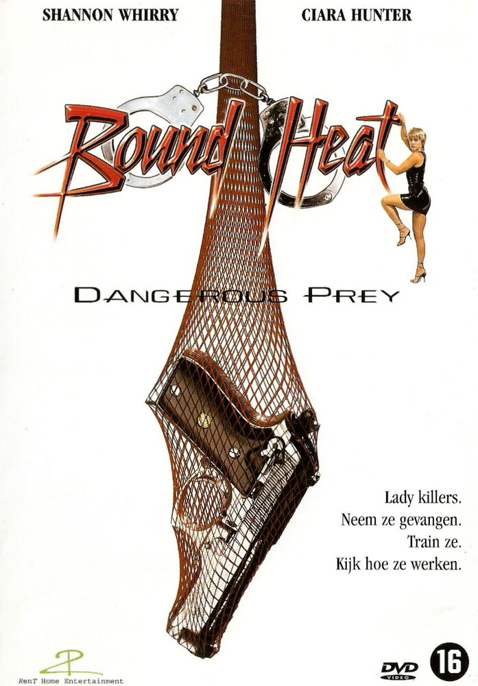 Опасная леди (1995) постер