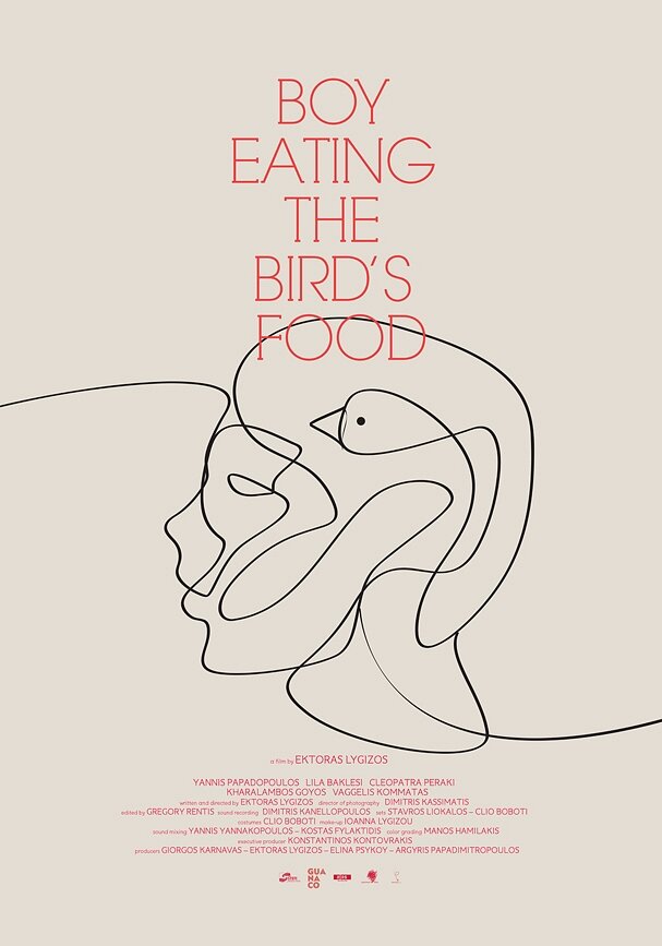 Мальчик, который ел птичий корм (2012) постер