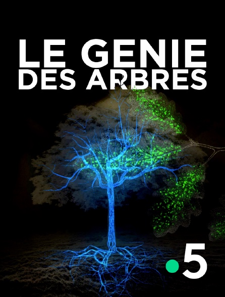 Деревья: гении мира природы (2020) постер