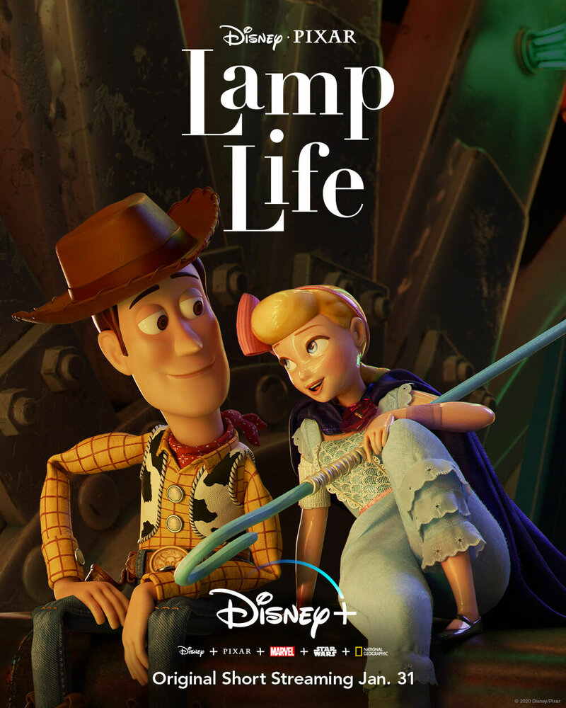 Жизнь лампы (2020) постер