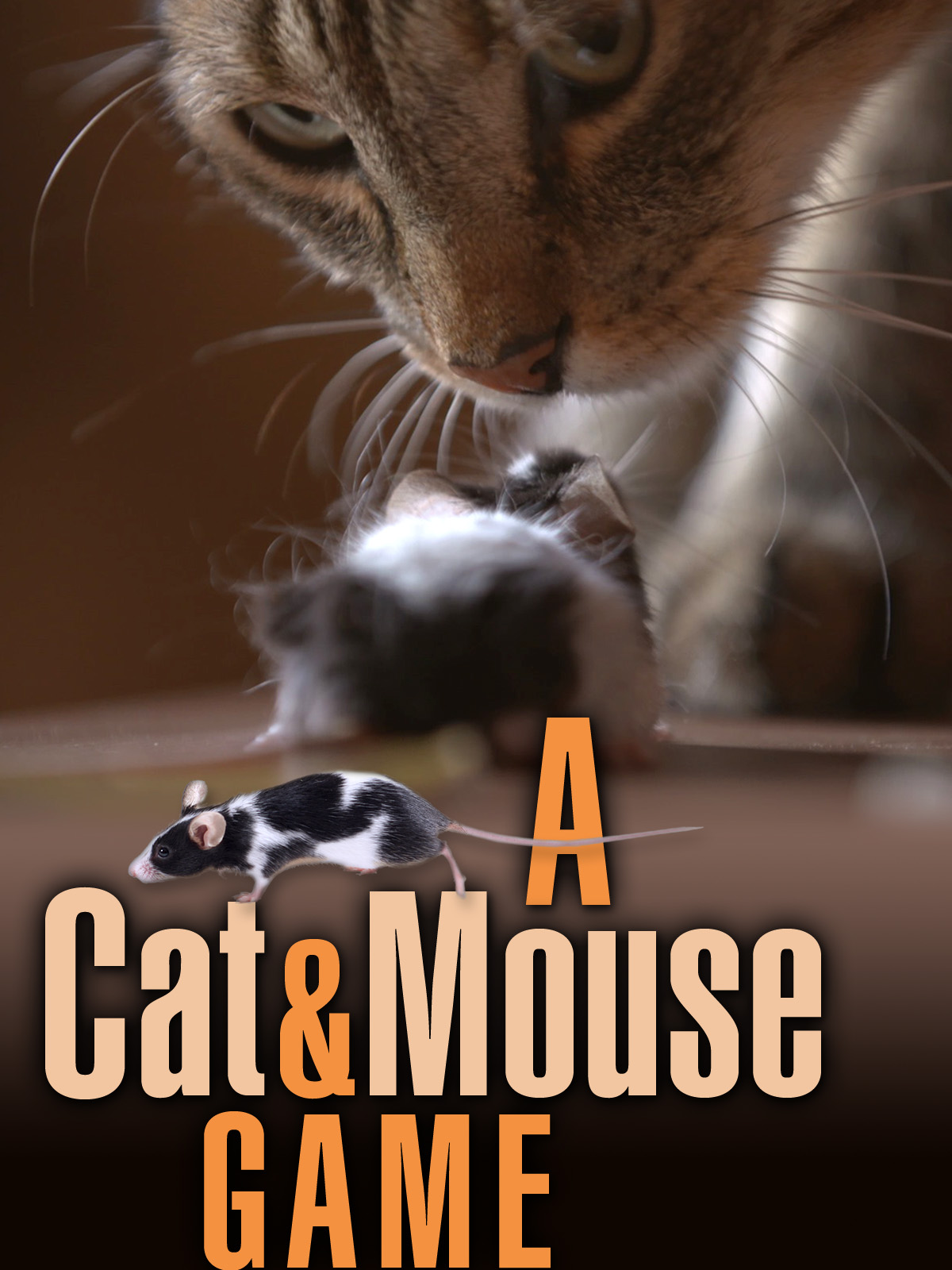 Игра в кошки-мышки (2019) постер