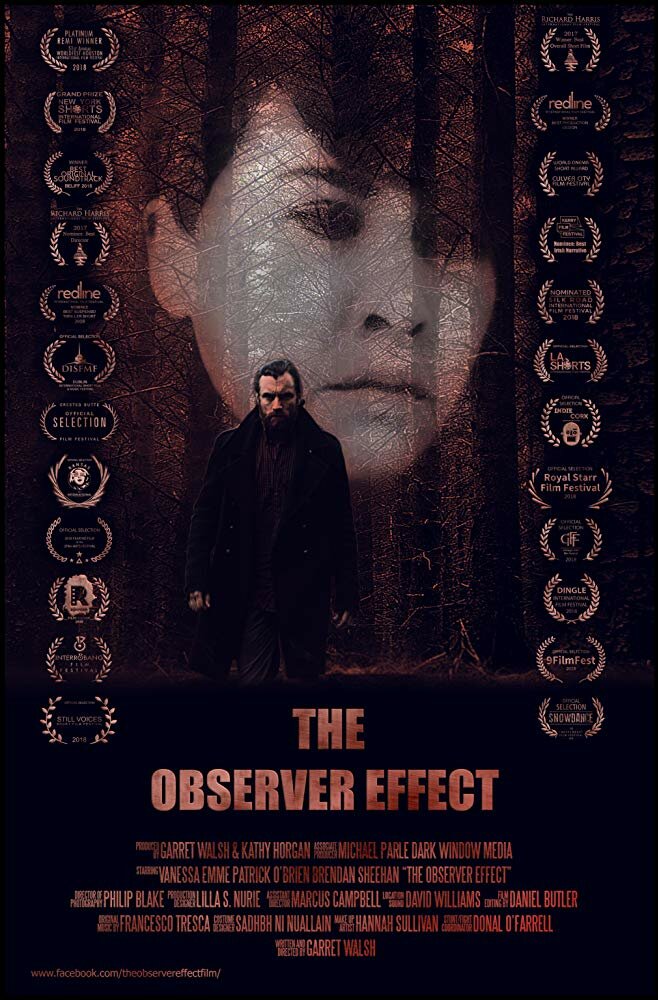The Observer Effect (2017) постер