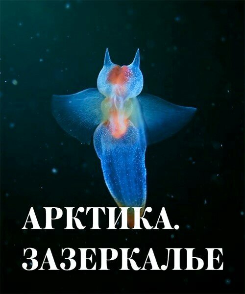 Арктика. Зазеркалье (2017) постер