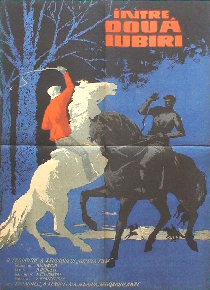 На берегах Ингури (1963) постер