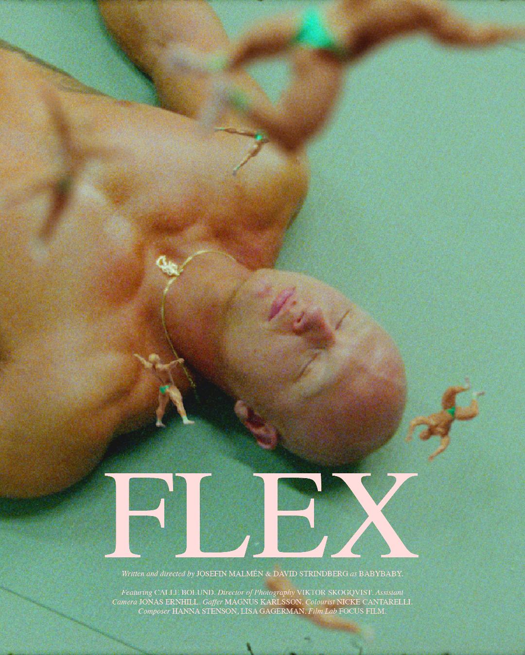 Flex (2020) постер