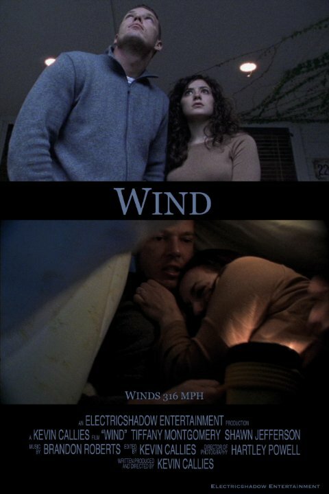 Wind (2004) постер