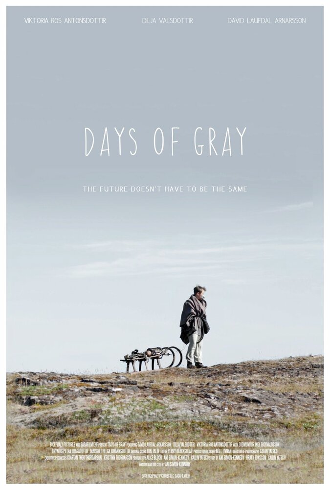 Days of Gray (2013) постер