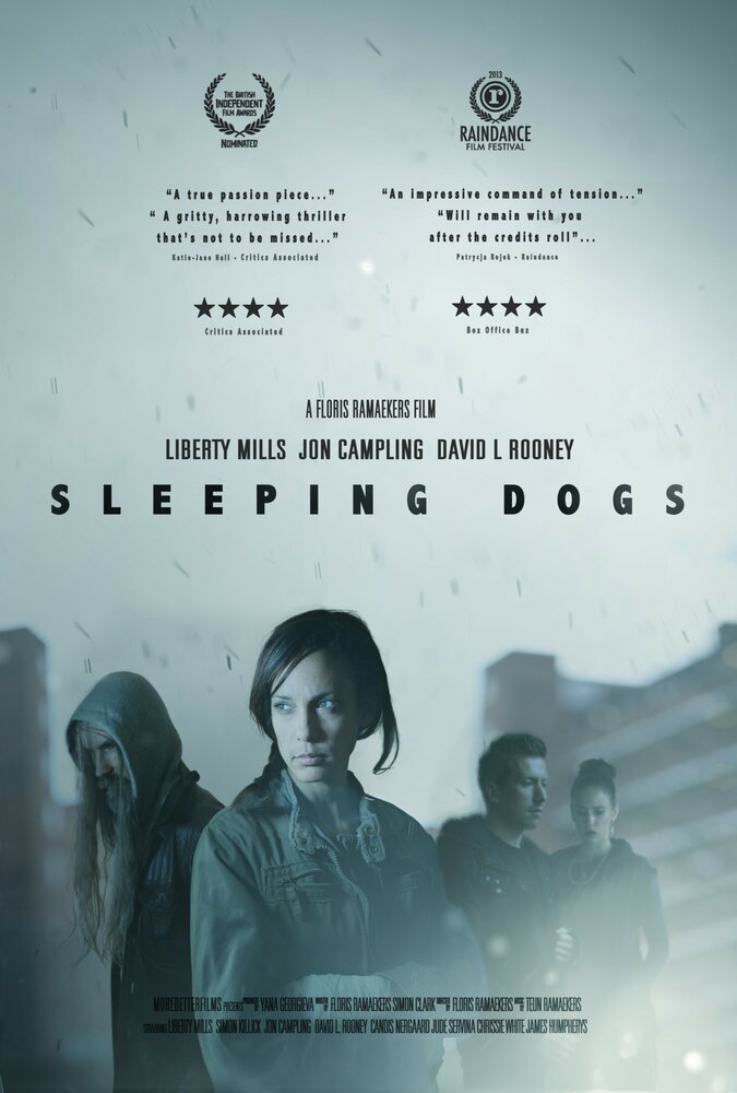 Sleeping Dogs (2013) постер