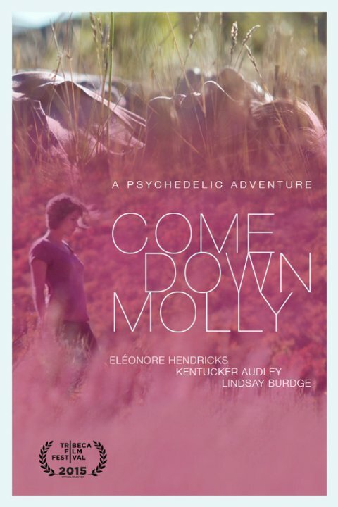 Come Down Molly (2015) постер