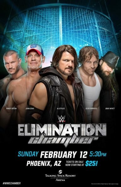 WWE Камера ликвидации (2017) постер