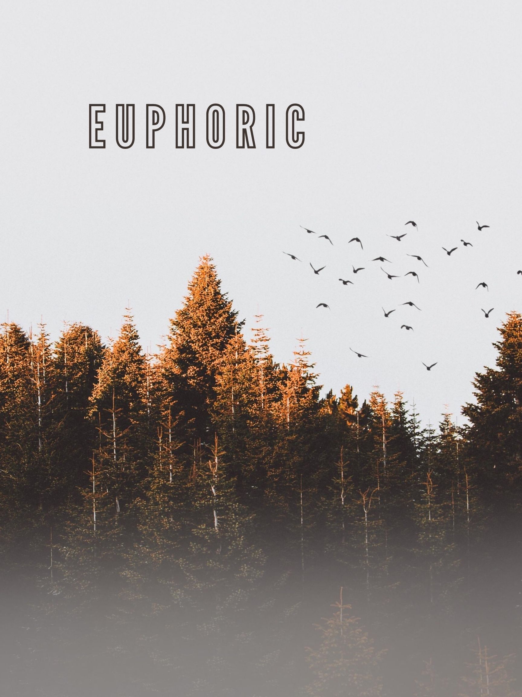 Euphoric (2020) постер