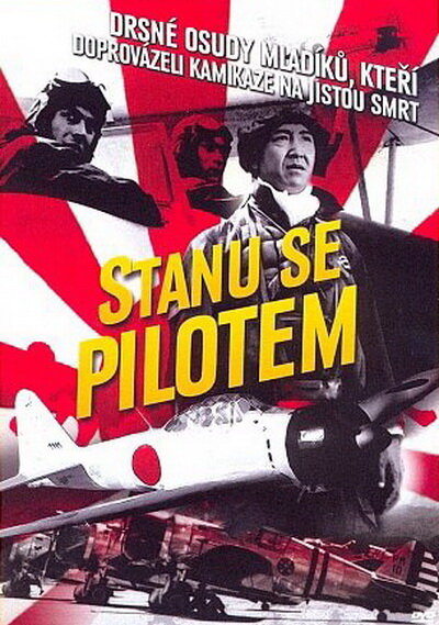 Я буду пилотом (1968) постер