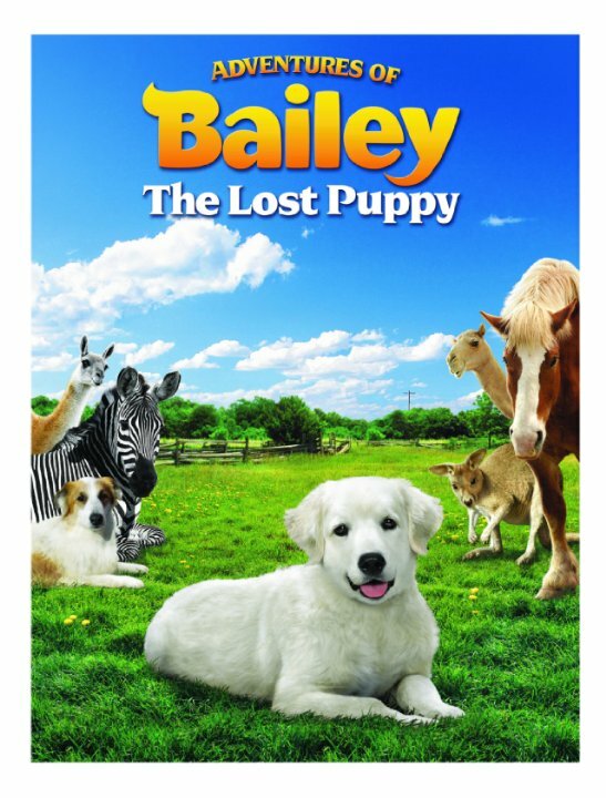 Приключения Бэйли: Потерянный щенок (2010) постер