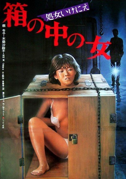 Женщина в ящике (1985) постер