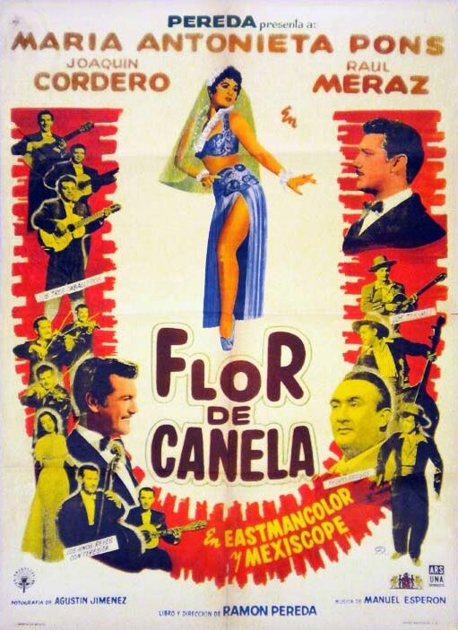 Flor de canela (1959) постер