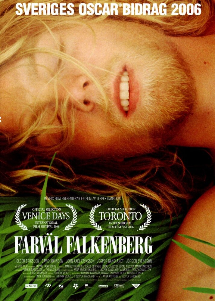 Прощай, Фалькенберг! (2006) постер