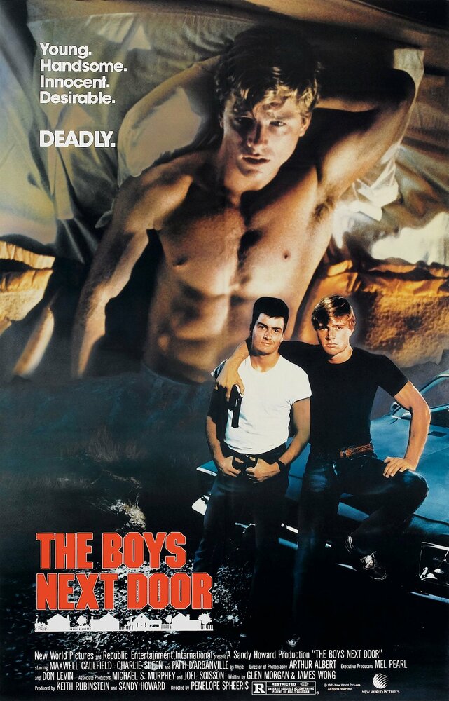 Соседские мальчишки (1985) постер