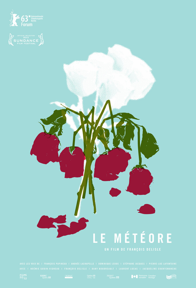 Метеор (2013) постер
