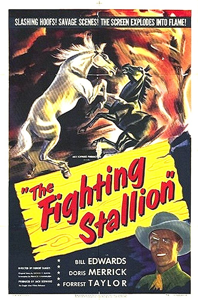 The Fighting Stallion (1950) постер