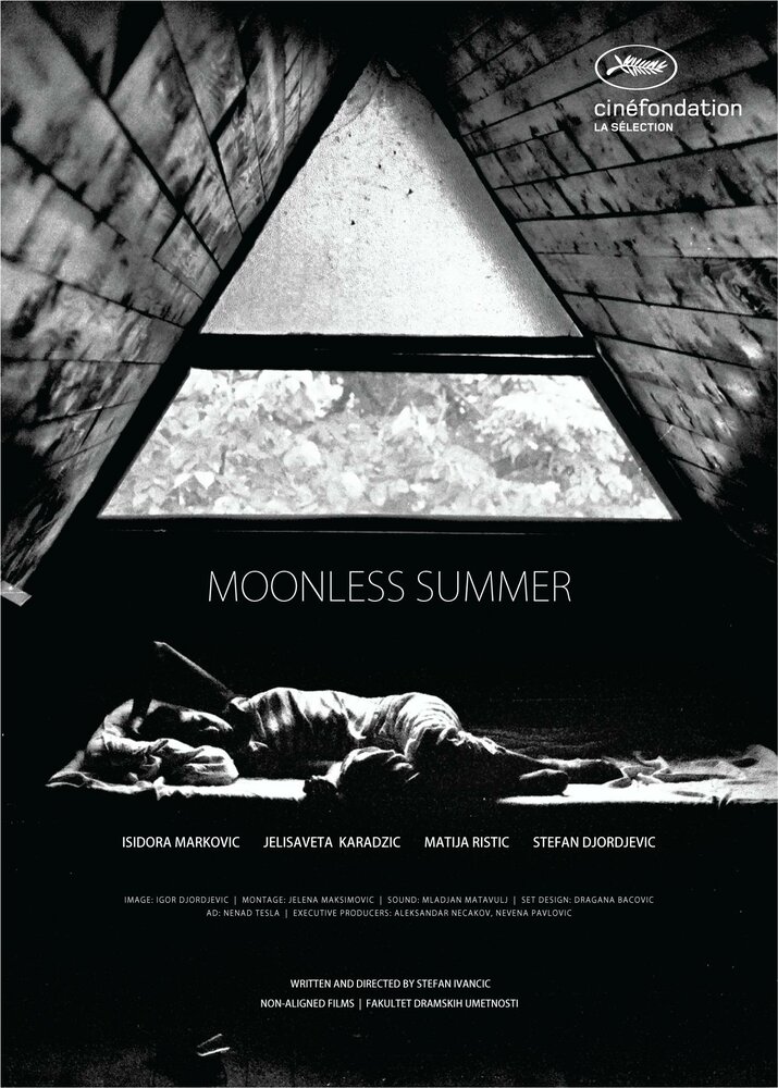 Лето без луны (2014) постер
