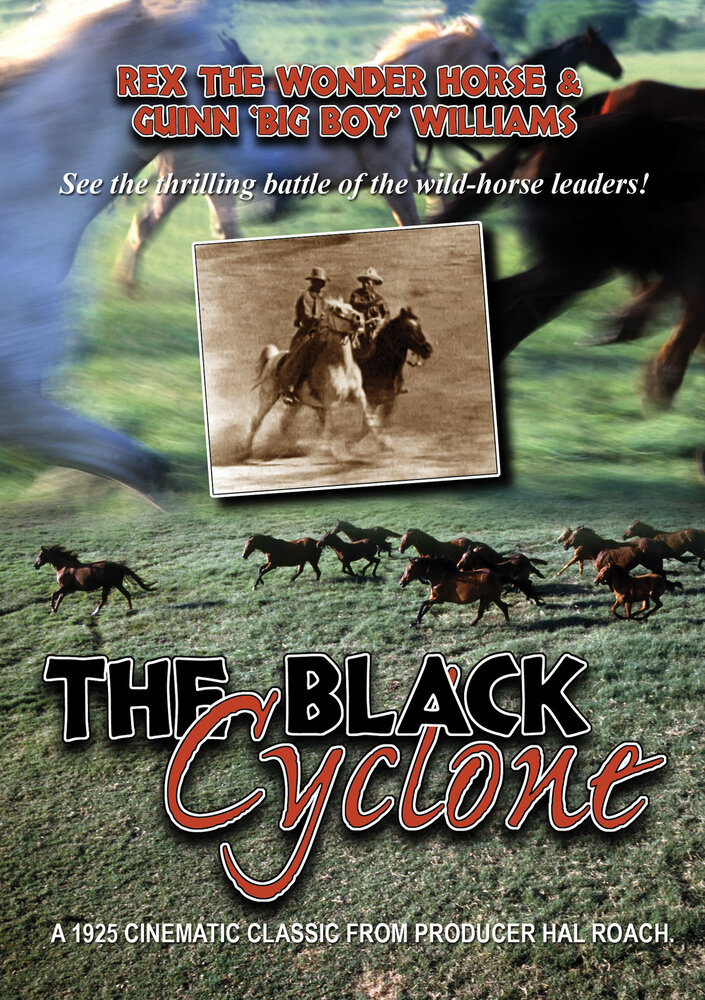 Чёрный циклон (1925) постер
