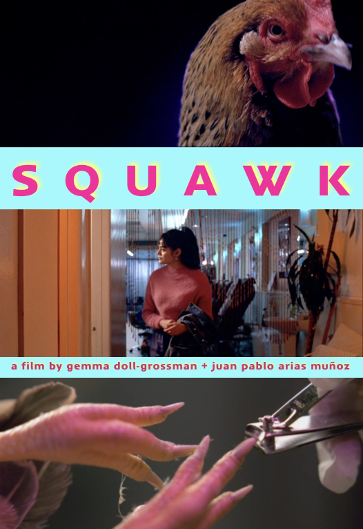 Squawk (2020) постер