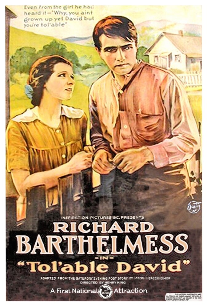 Кроткий Дэвид (1921) постер