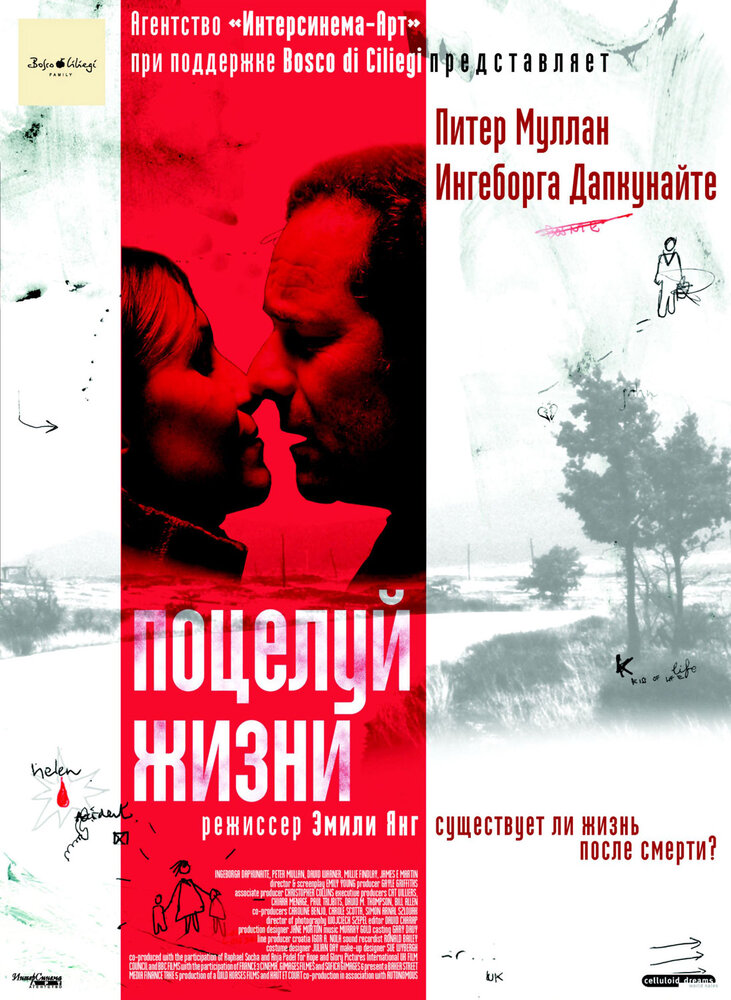 Поцелуй жизни (2003) постер