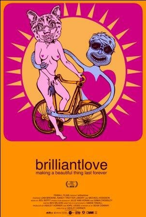 Вспышки любви (2010) постер