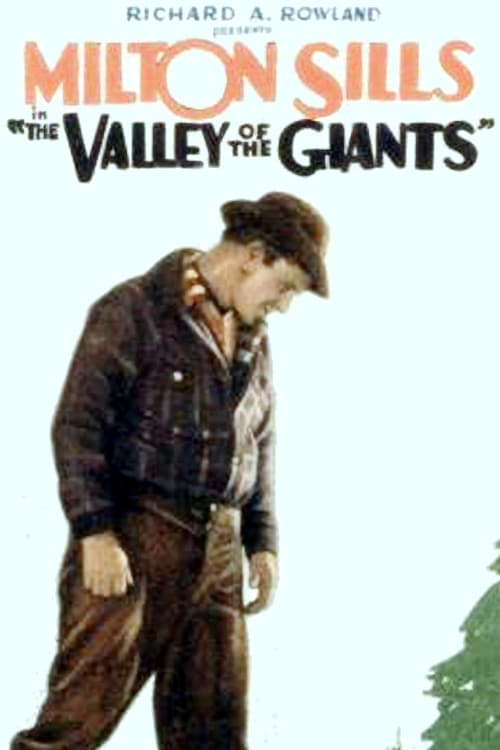 Долина великанов (1927) постер