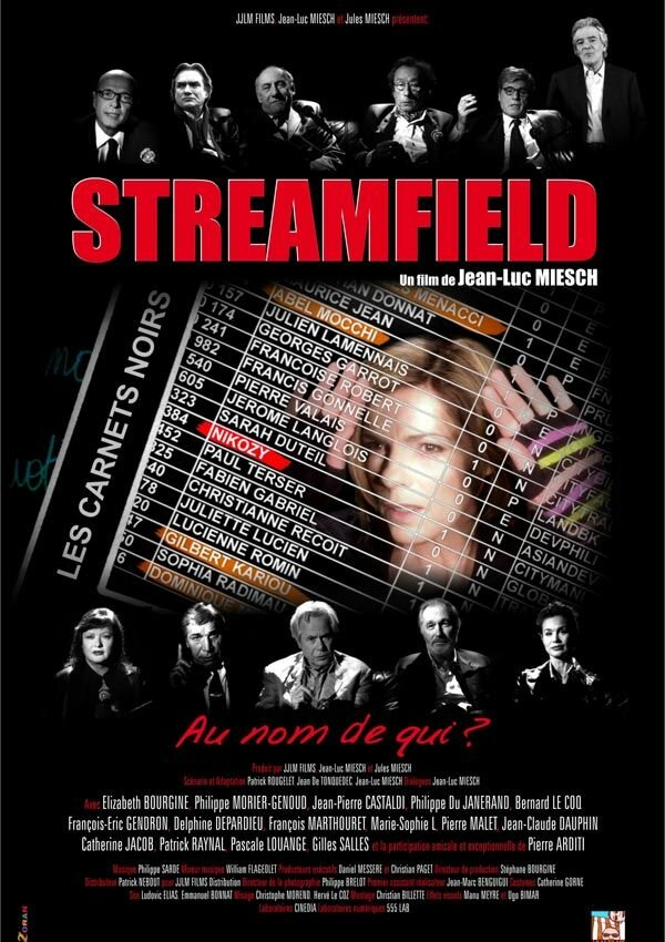 Streamfield, les carnets noirs (2010) постер