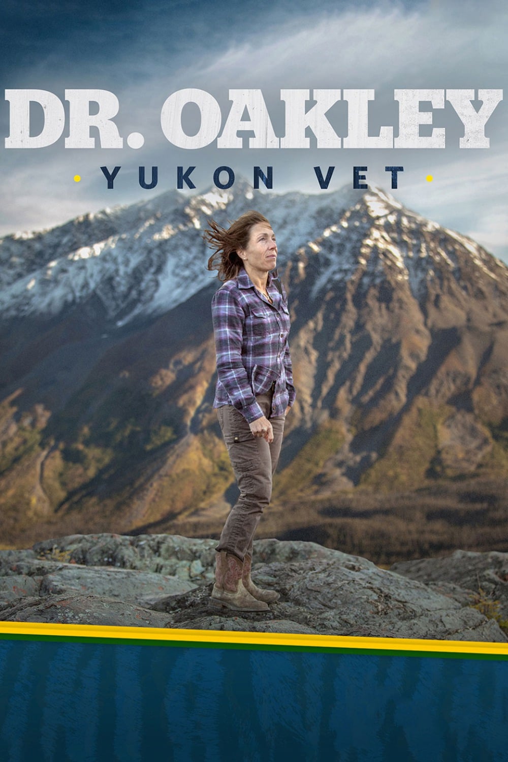 Ветеринар из Юкона (2014) постер