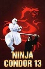 Ниндзя-стервятник (1987) постер